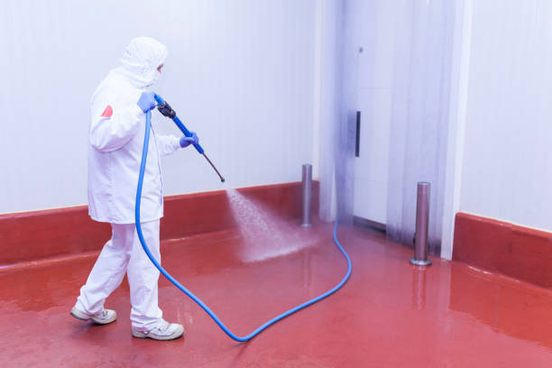 Best Playground Equipment Cleaning  in Lyncourt, NY