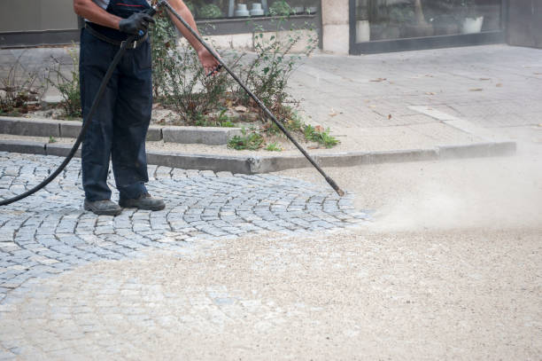 Best Driveway Pressure Washing  in Lyncourt, NY